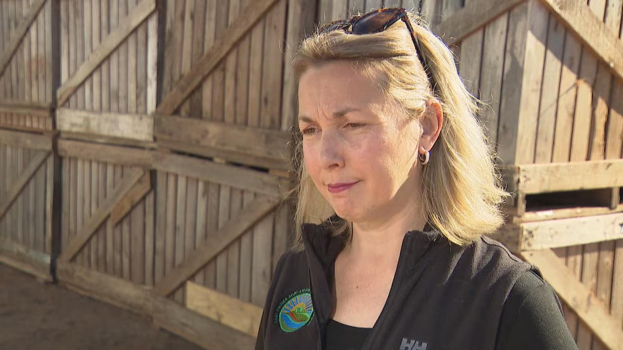 Î.-P.-É. : l’embauche de travailleurs étrangers se complique pour les agriculteurs