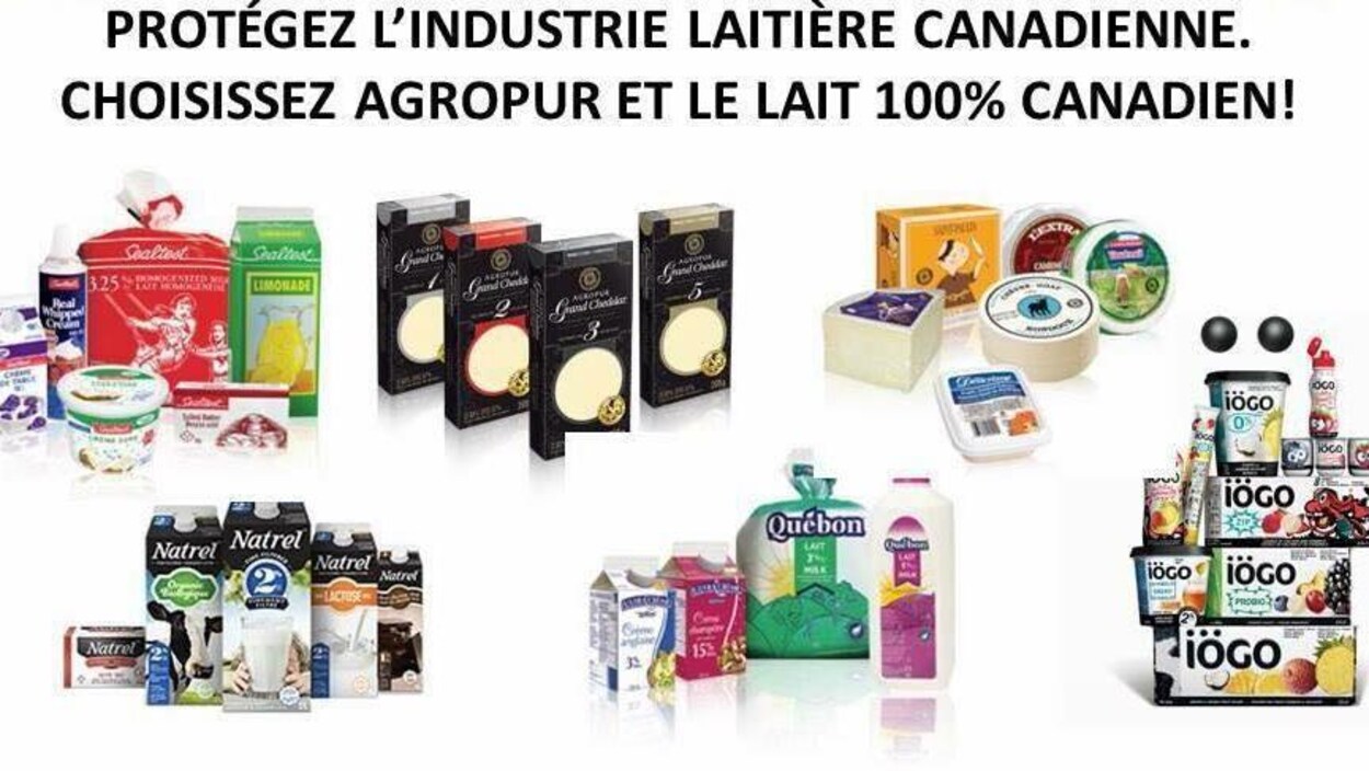 L'Alena signé, les producteurs laitiers du Canada inquiets L'Alena signé, les producteurs laitiers du Canada inquiets