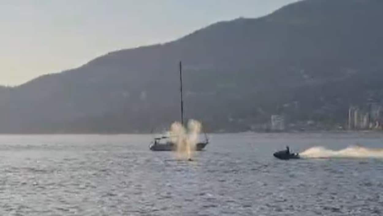 La baleine frappée par une motomarine semble se porter bien