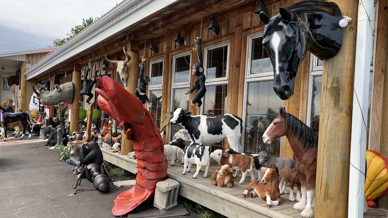 Ben Lalen renaîtra entre Princeville et Plessisville