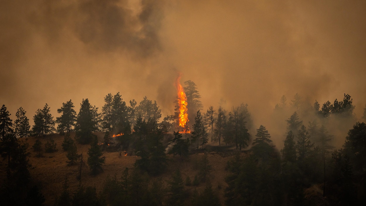 Summerland évacuée : des bâtiments détruits, pas de retour en vue