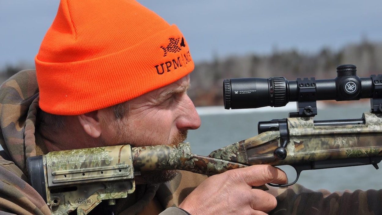 Risques et périls d’une chasse au phoque émergente