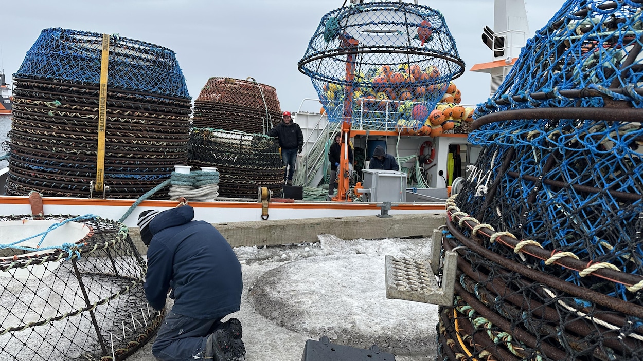 Feu vert pour les crabiers du sud du golfe du Saint-Laurent