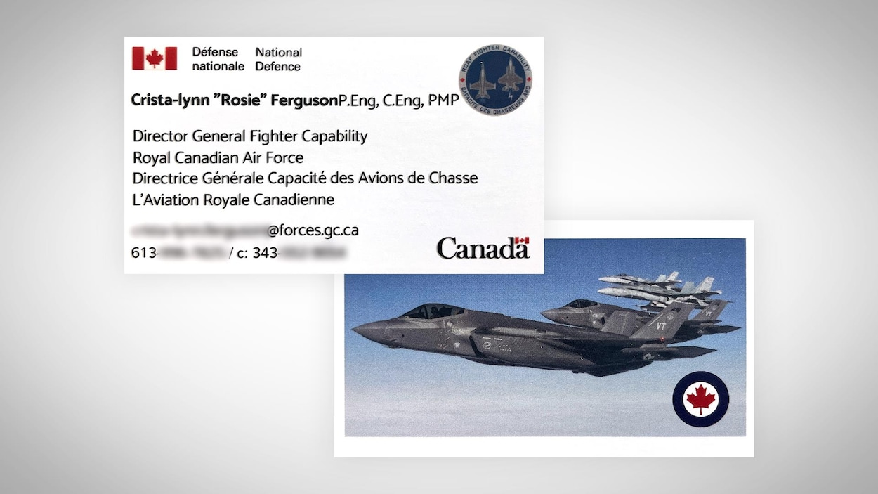 Une fonctionnaire de la Défense doit retirer deux F-35 de sa carte professionnelle