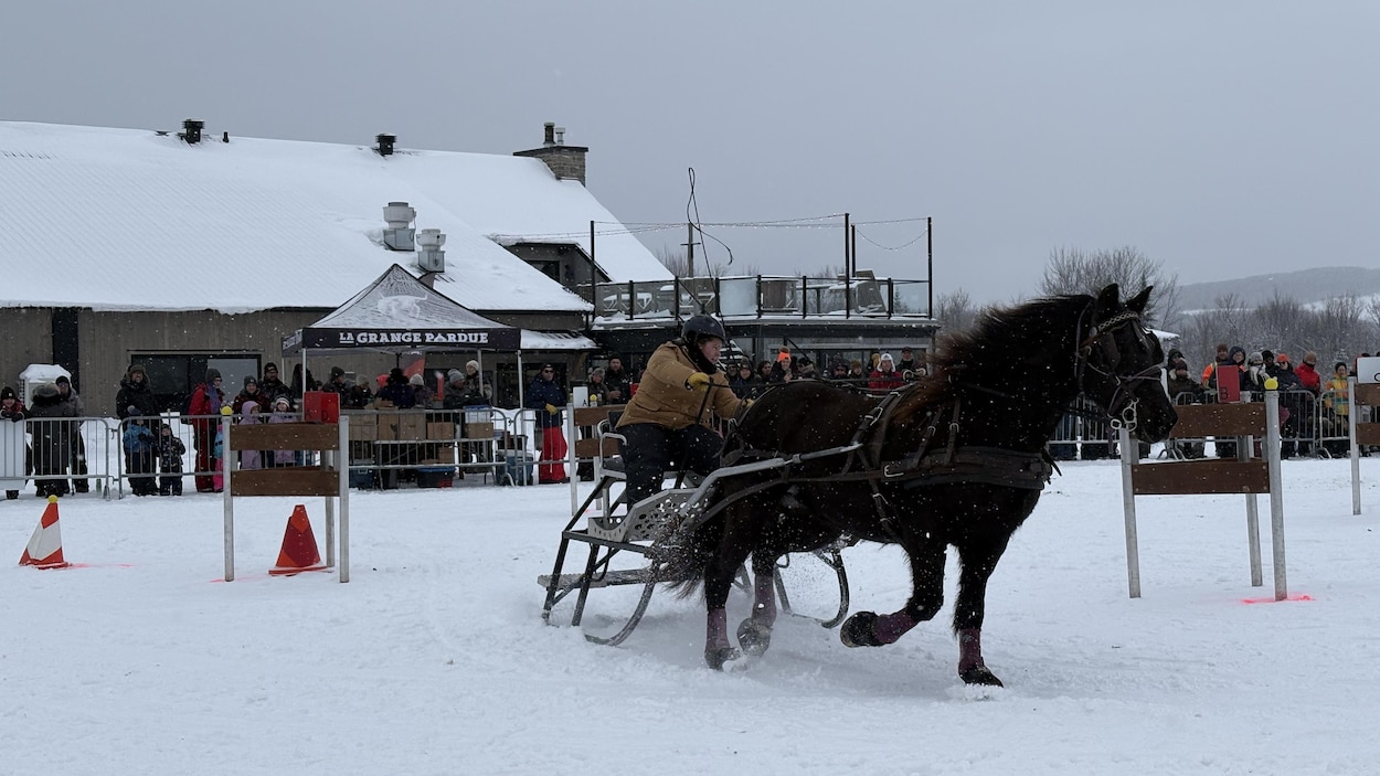 La Grange pardue de Ham-Nord, théâtre d’un premier derby d’attelage hivernal