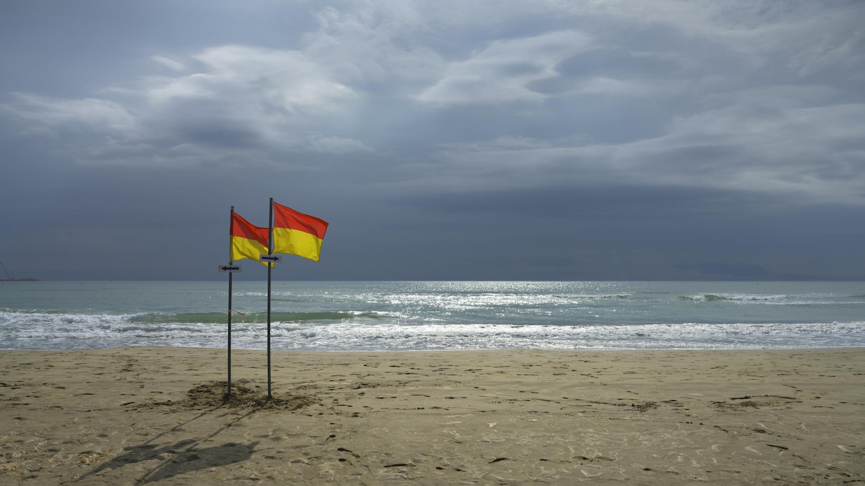 Que signifient les couleurs des drapeaux sur la plage? En bref — free download