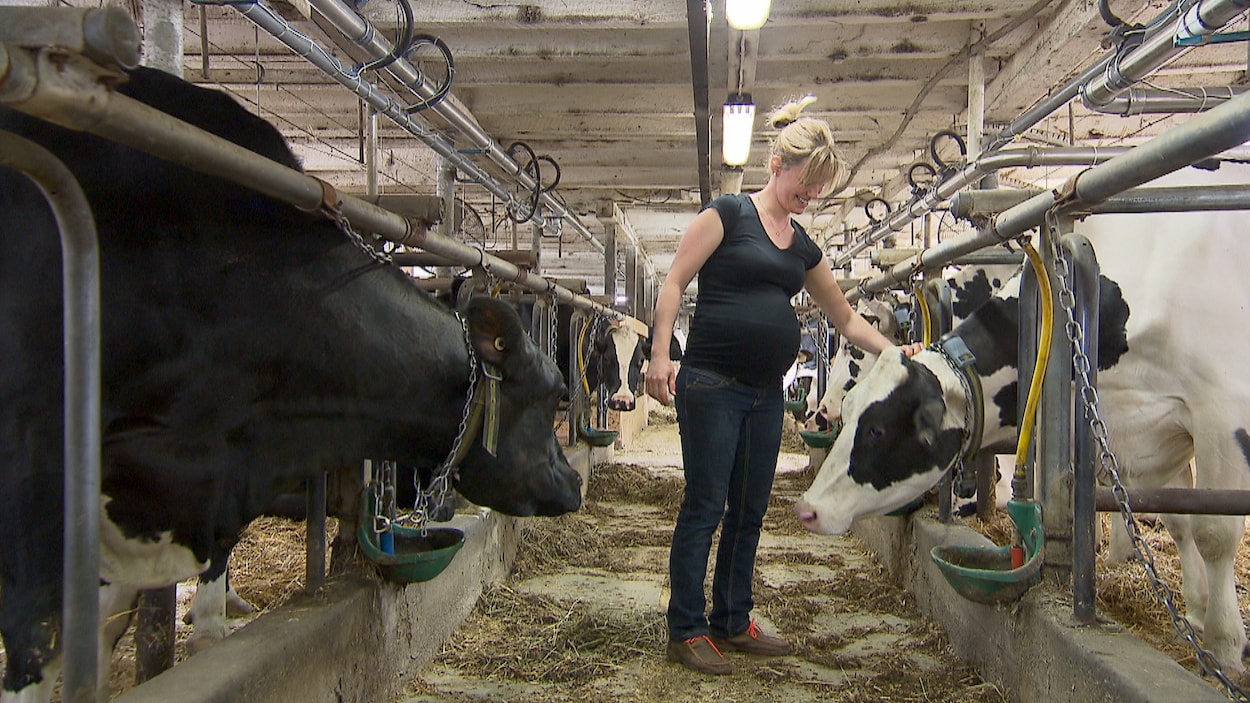 Des agricultrices réclament de vivre leur grossesse en sécurité |  Radio-Canada