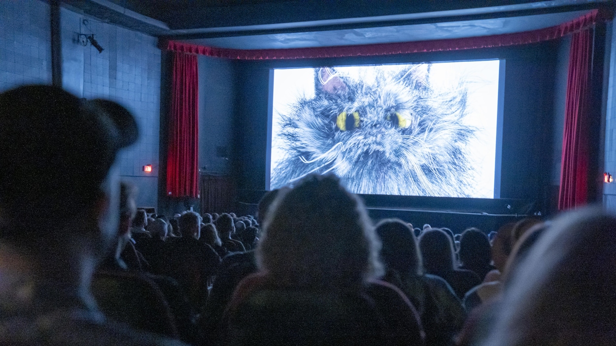 Ottawa célèbre un demi-siècle de films d’animation