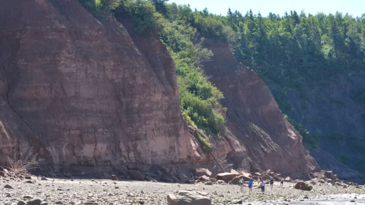 Les falaises de Fundy à Five Islands, en Nouvelle-Écosse.