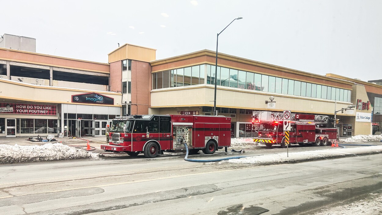 VIDÉOJOURNAL La Coupe Memorial 2024 à SaultSainteMarie ? Des loups