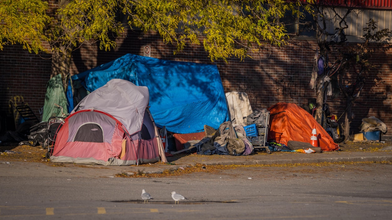 Démanteler ou tolérer les campements de sans-abris? La question divise les villes
