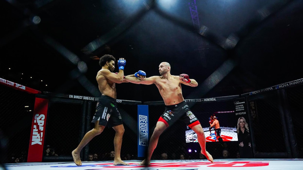 Deux Gatinois dans l'octogone de l'UFC