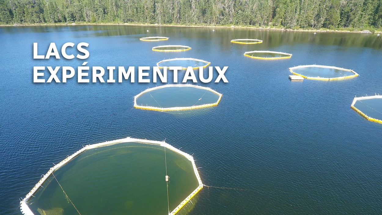 L’Ontario investit 2 M$ pour la recherche sur l’eau douce dans le Nord-Ouest