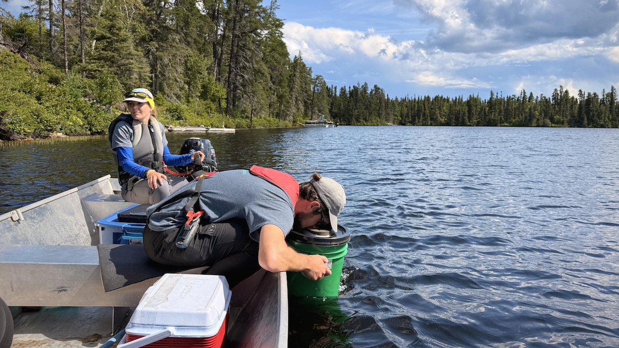 L’OBV de la Haute-Côte-Nord à la recherche de plantes aquatiques envahissantes