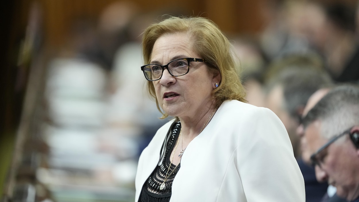 Les compétences de la ministre fédérale de l’Immigration remises en cause