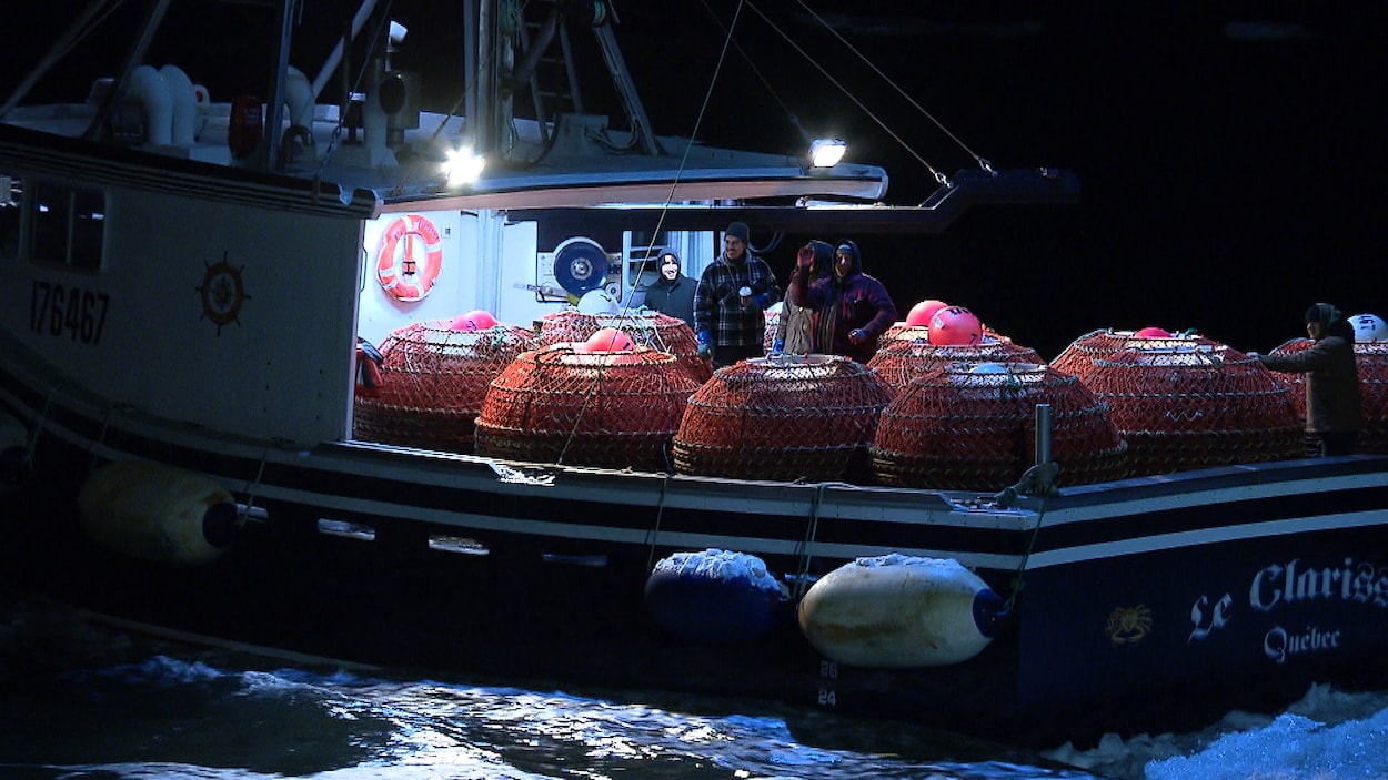 La pêche au crabe est lancée!