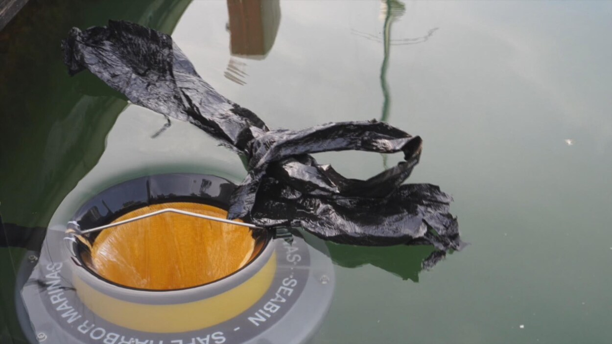 L'eau est pompée dans un contenant flottant, qui filtre les déchets.