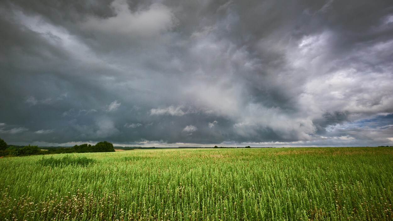 Une tempête qui se prépare au-dessus d'un grand champ.