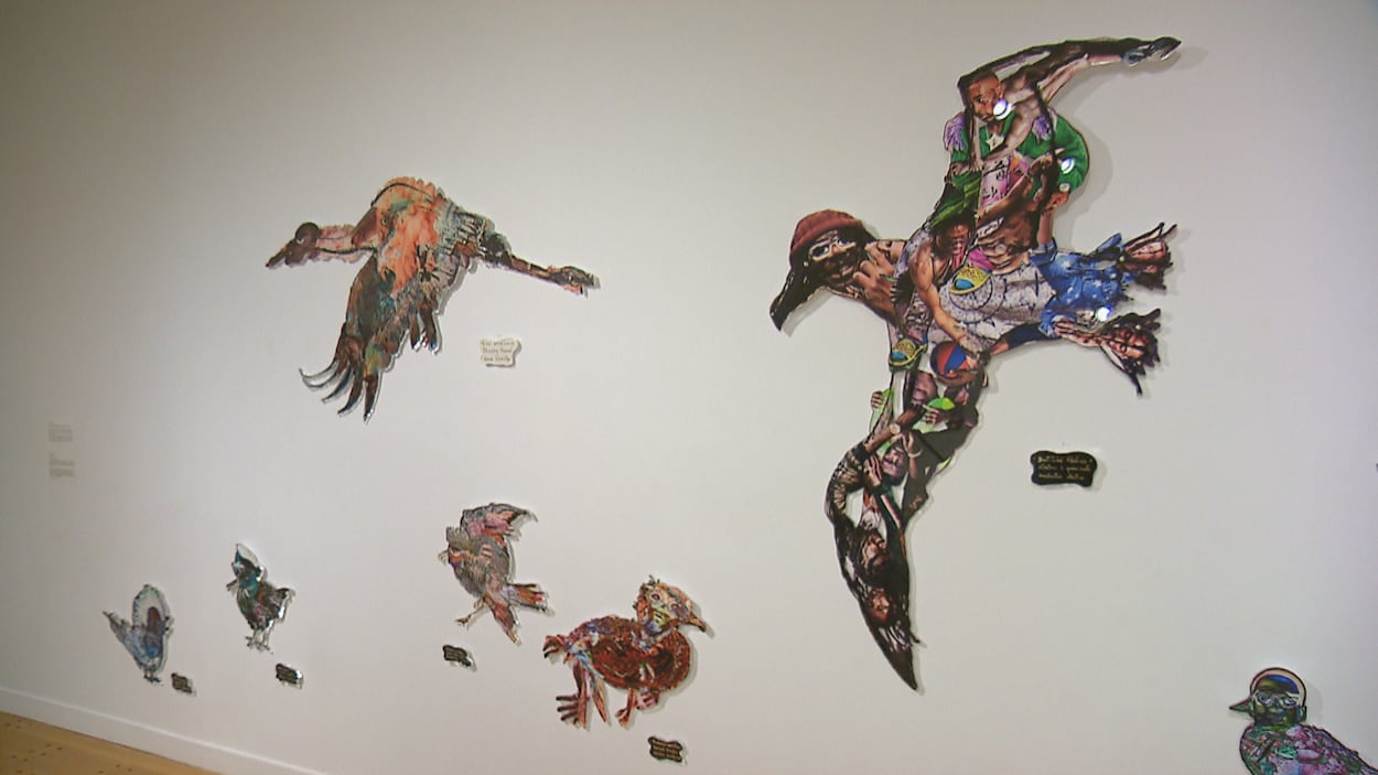 Dialogue de six artistes autour du territoire, de la migration et de la curiosité ornithologique