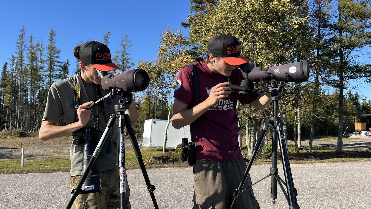 L’engouement ne démord pas pour le Festival des oiseaux migrateurs