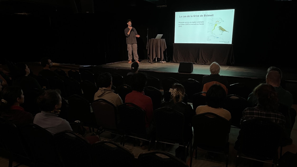 16e Festival des oiseaux migrateurs de la Côte-Nord