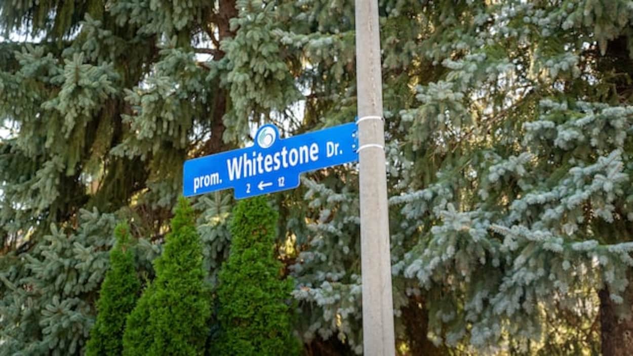 Un panneau de l’avenue Trump disparaît mystérieusement à Ottawa