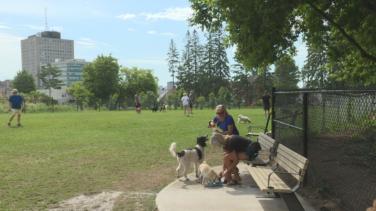 Un premier parc à chien voit le jour dans le secteur de Hull