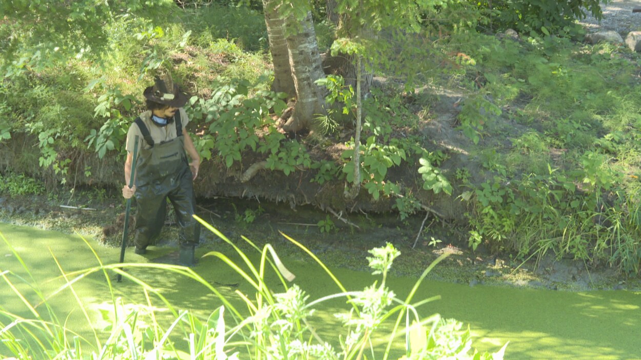 Un homme marche dans le labyrinthe où le manque d'eau est apparent.
