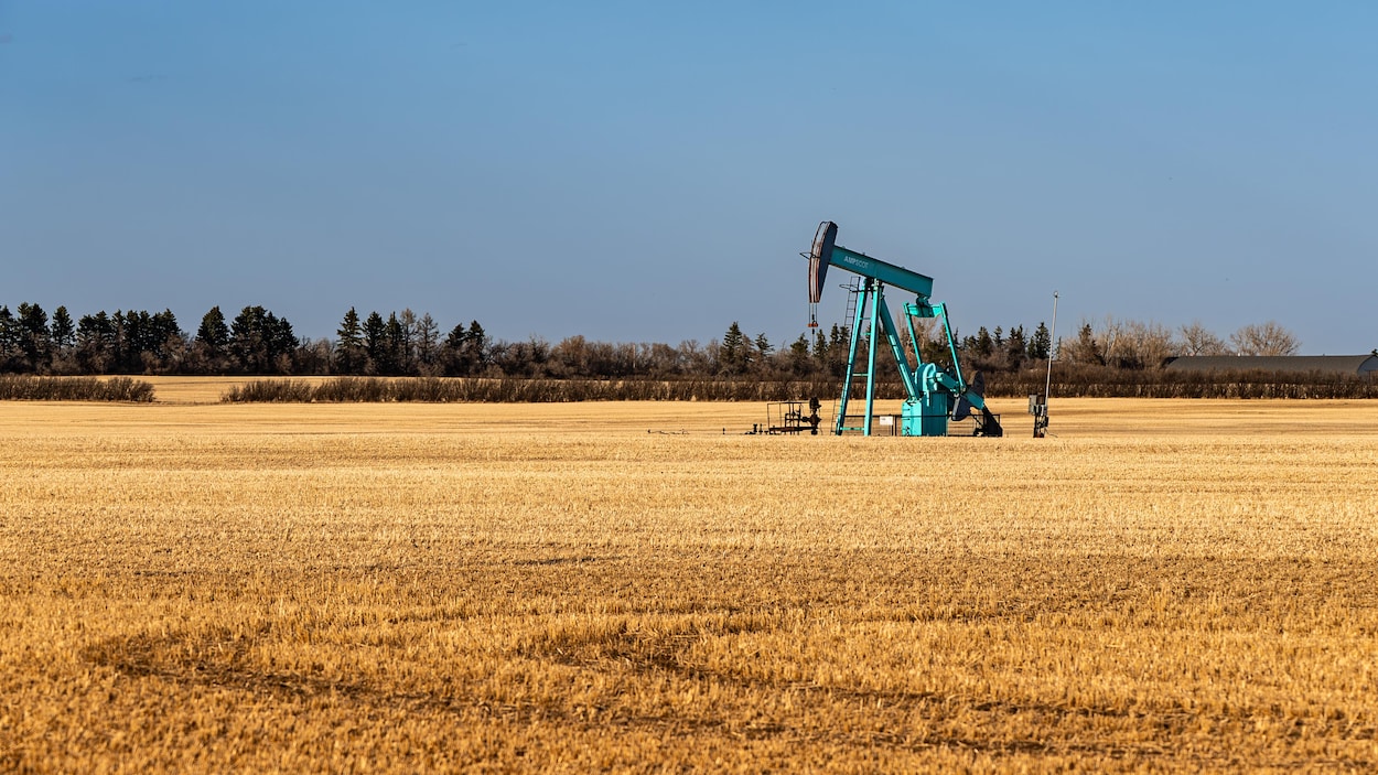 Un organisme dénonce une montée du lobbyisme pétrolier à Ottawa
