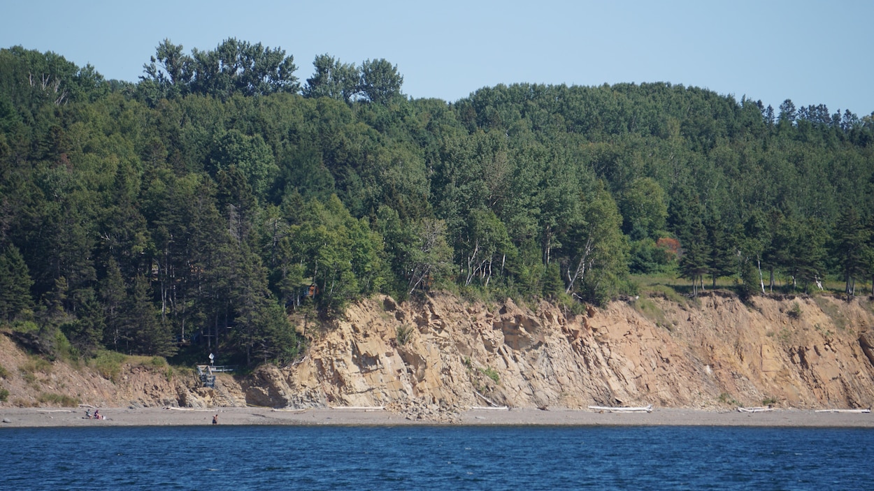 Réouverture de la plage Henderson cet été, avec prudence