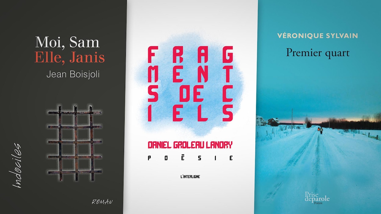 Trois couvertures de livres : Moi, Sam. Elle, Janis de Jean Boisjoli; Fragments de ciels de Daniel Groleau Landry; Premier quart de Véronique Sylvain.