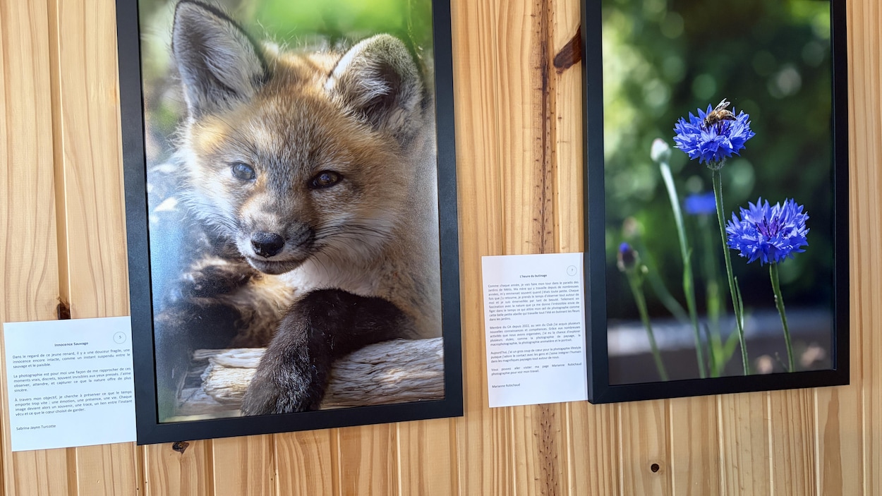Près de 10 ans de passion photographique à Rimouski