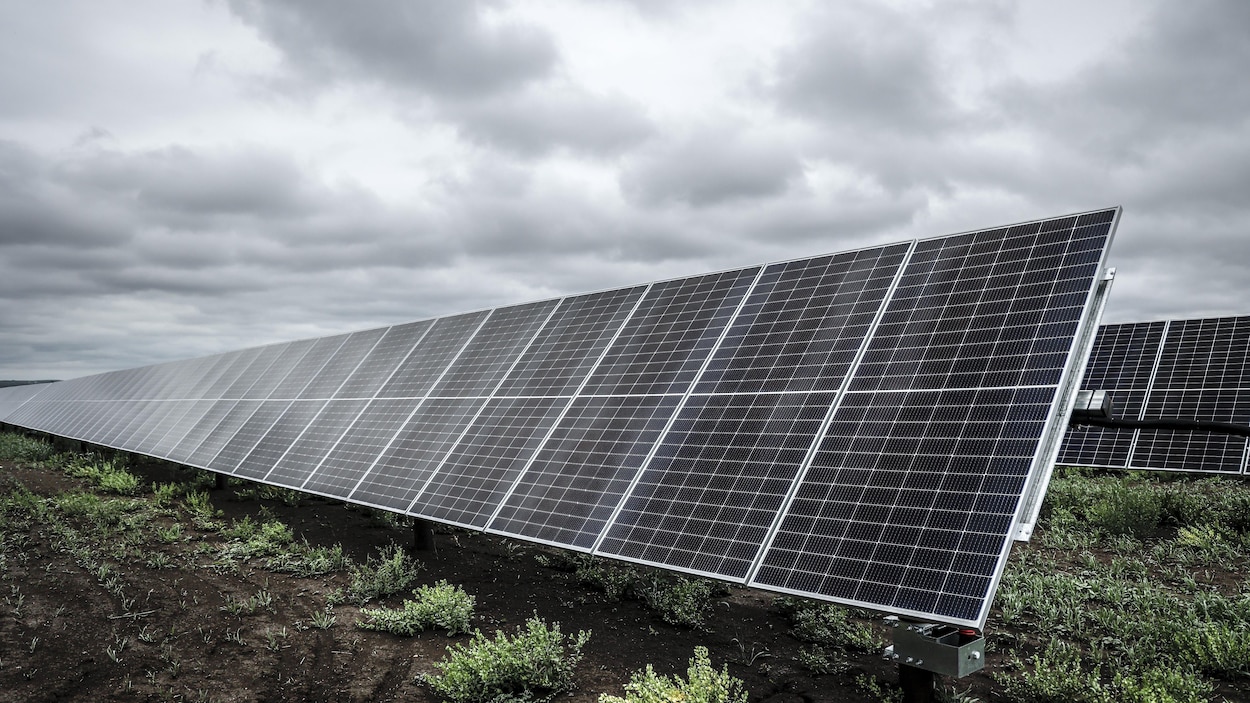 Davantage d’entreprises néo-écossaises se tournent vers l’énergie solaire