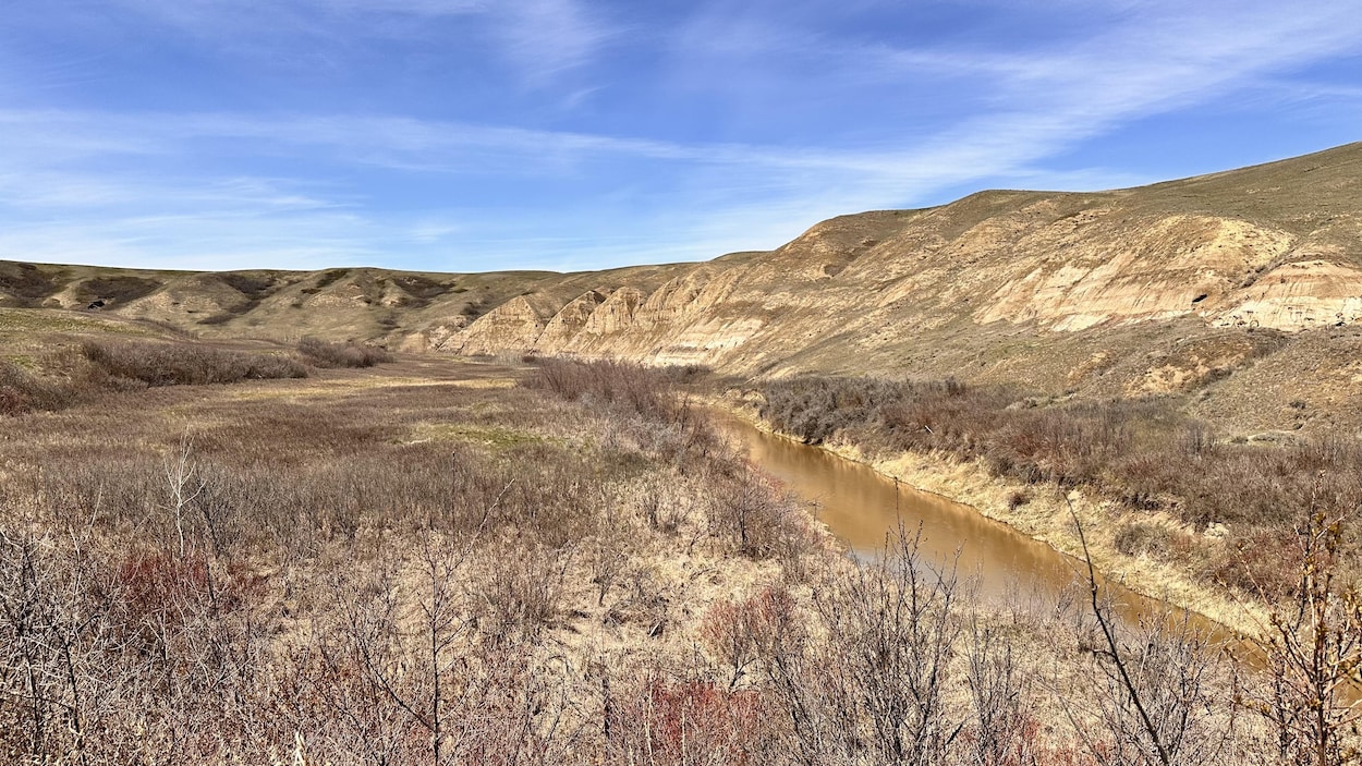 La Cour casse une décision du tribunal environnemental de l’Alberta