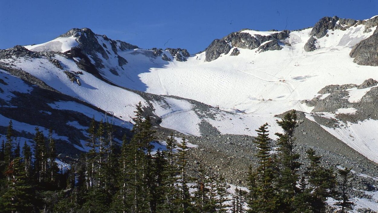 Image du glacier de Whistler en Colombie-Britannique avec des arbres en avant-plan.