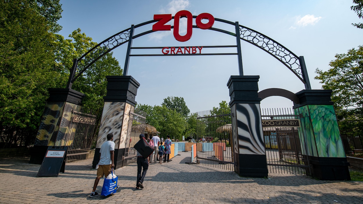 Journée de grève au Zoo de Granby | Info | Radio-Canada