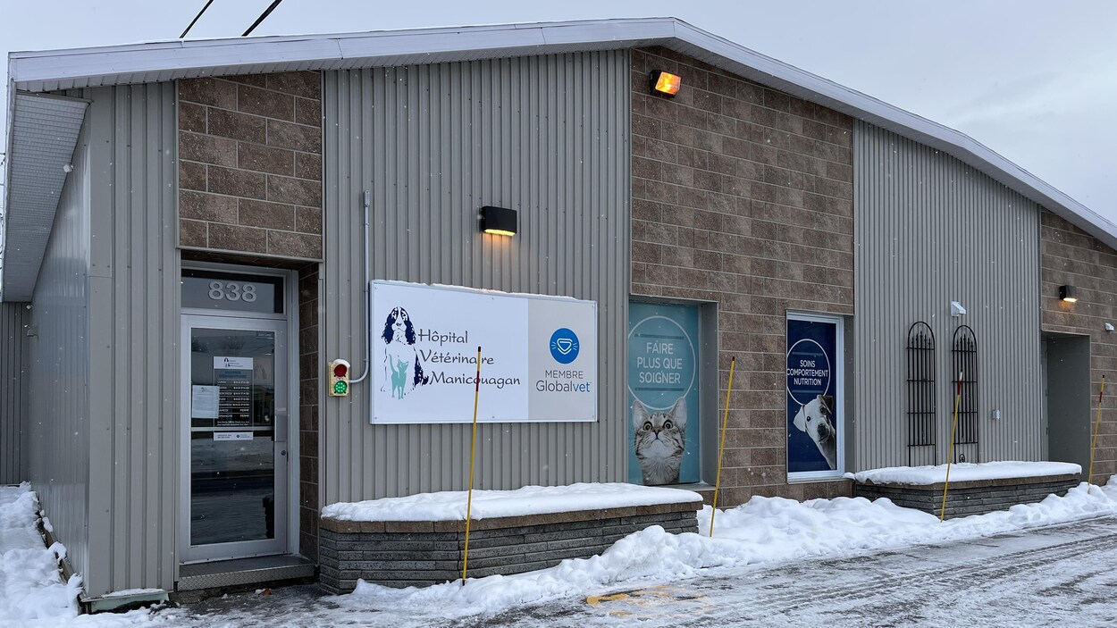 Une clinique vétérinaire de moins sur la CôteNord Info RadioCanada