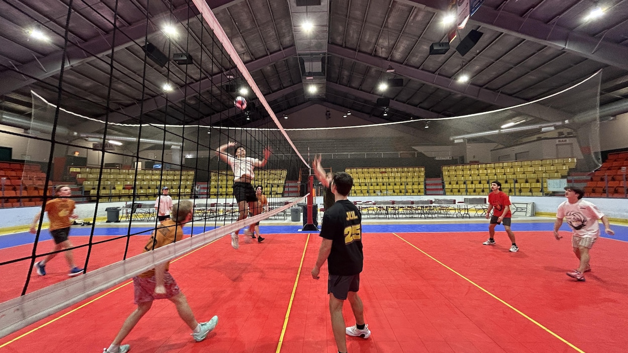 Pour l’amour du Tournoi orange