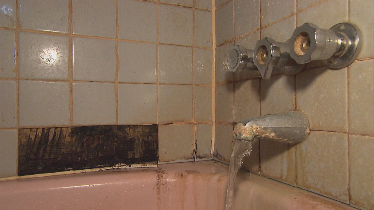 Chow cible les propriétaires de logements locatifs négligés