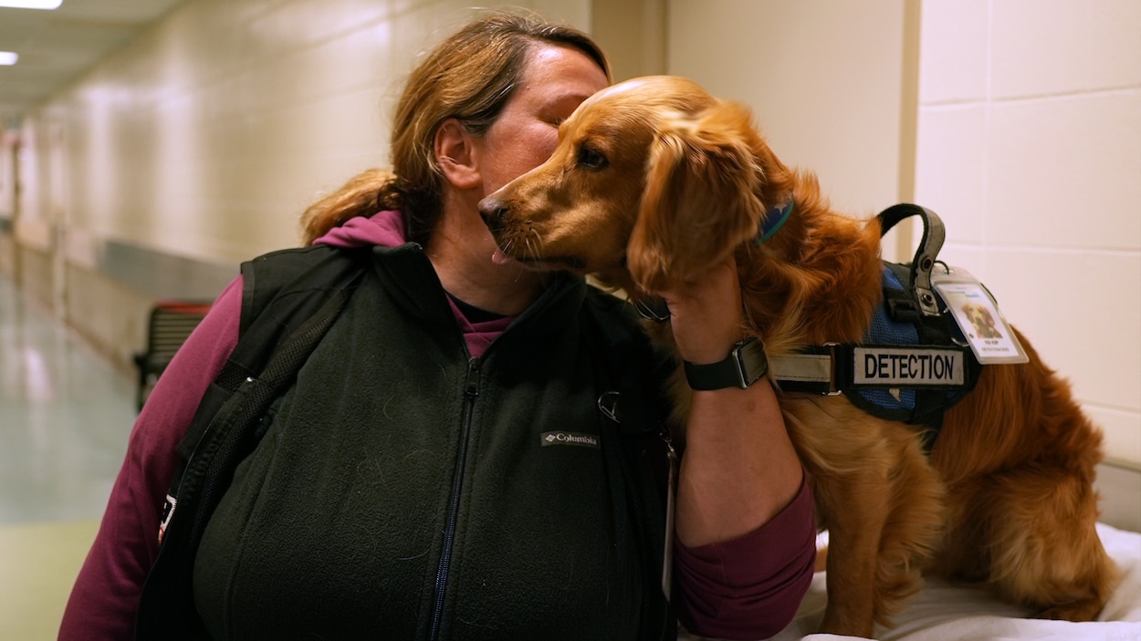 Des chiens détectent la bactérie C. difficile