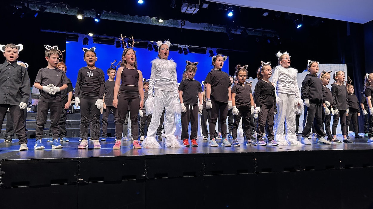 La francophonie à travers une comédie musicale