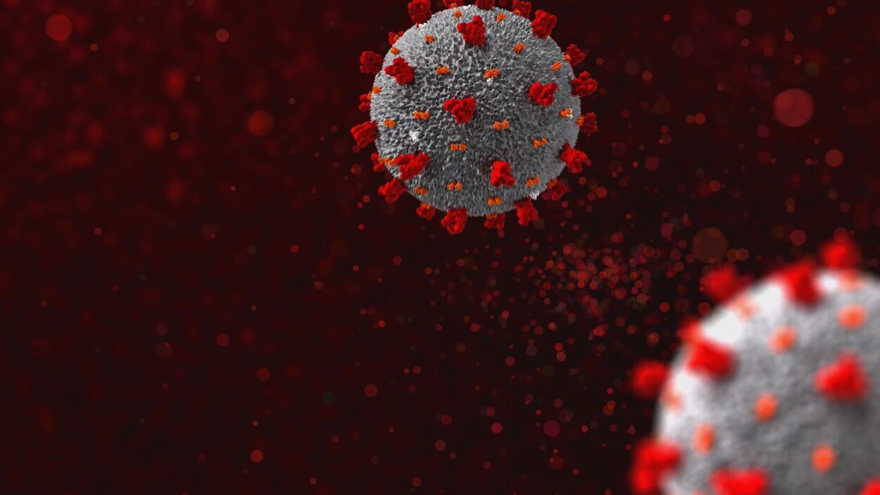 COVID19 ce qu’il faut savoir aujourd’hui au SaguenayLacSaintJean