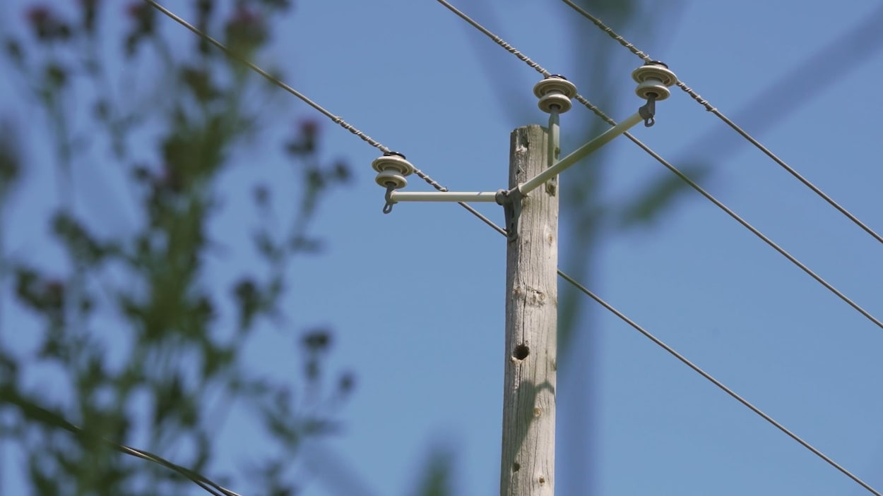 Les forts vents provoquent des pannes d’électricité dans la région