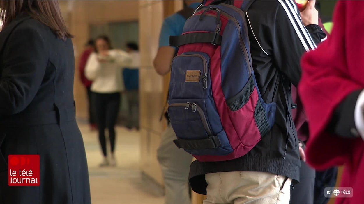Plusieurs élèves de la seule école francophone d'Halifax poursuivent en anglais