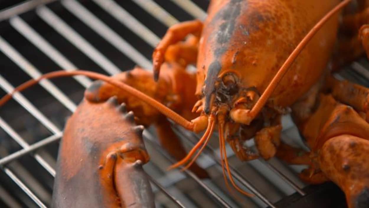 Le homard sur le barbecue