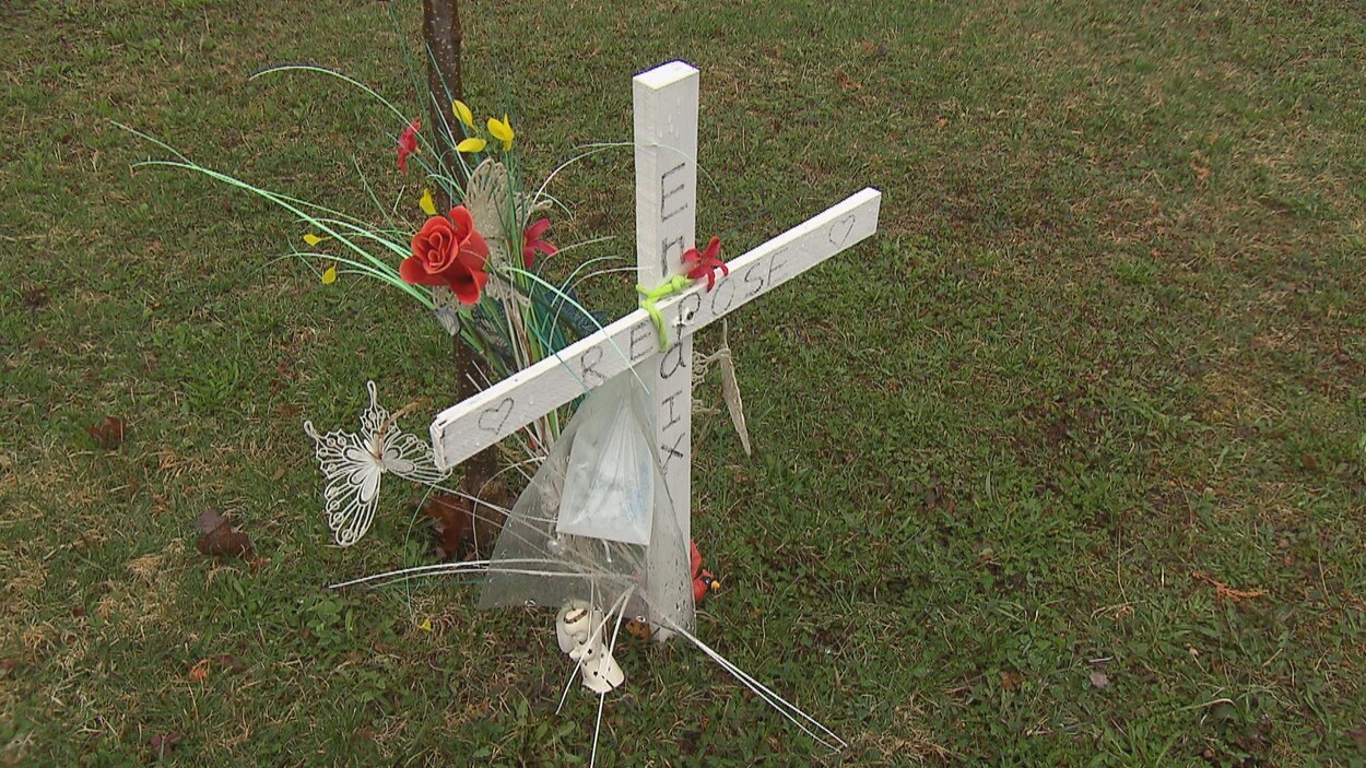 Une croix, des fleurs et un arbre ont été installés en la mémoire de la fillette.