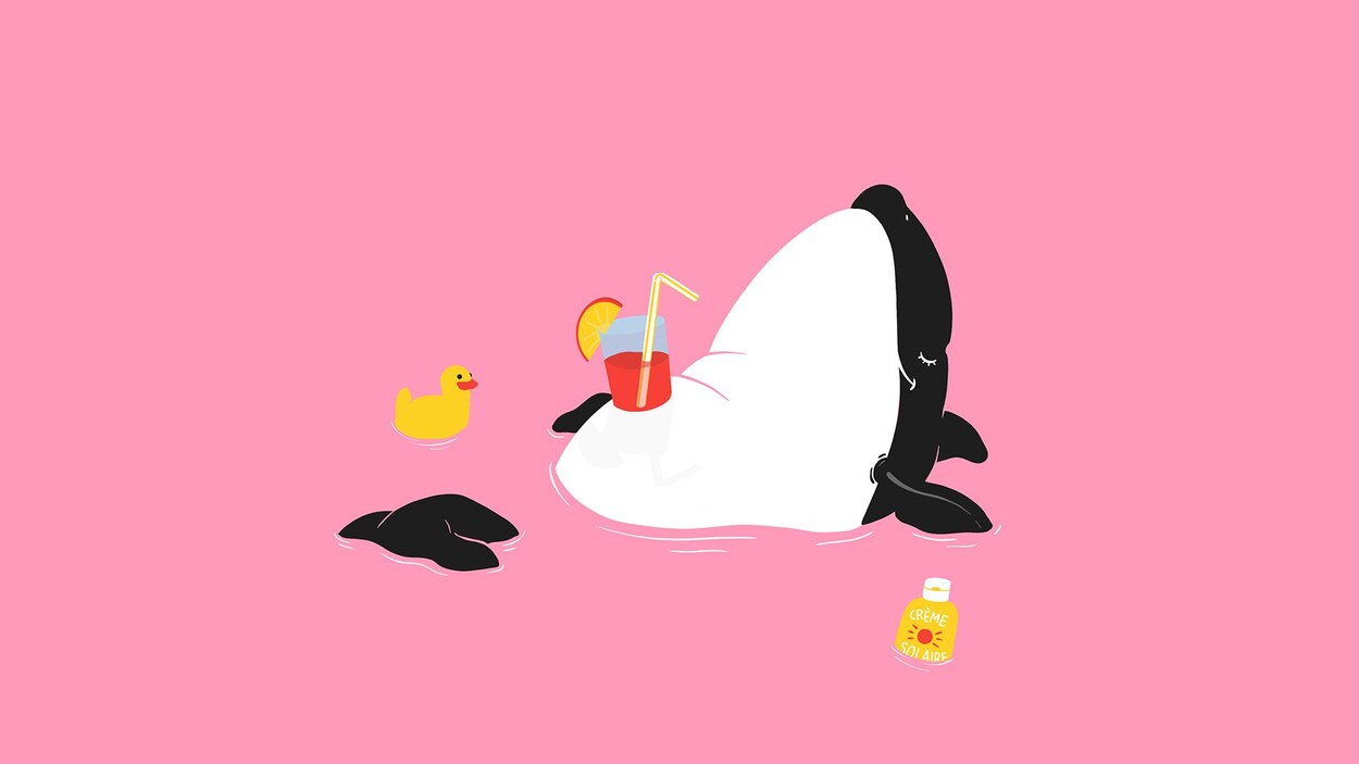 Un dessin d'épaulard qui se laisse flotter sur le dos dans l'eau, avec un verre de jus fruité bien installé sur son ventre. On le croirait à la plage.