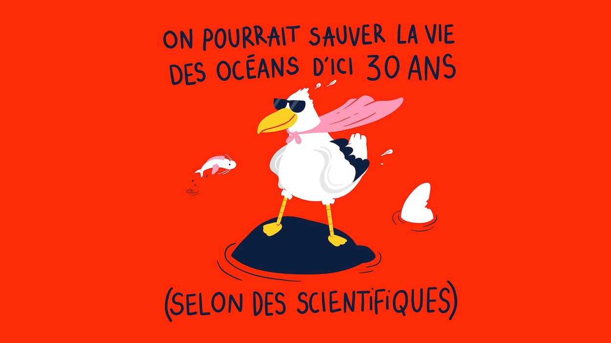On pourrait sauver la vie des océans d'ici 30 ans (selon des scientifiques).