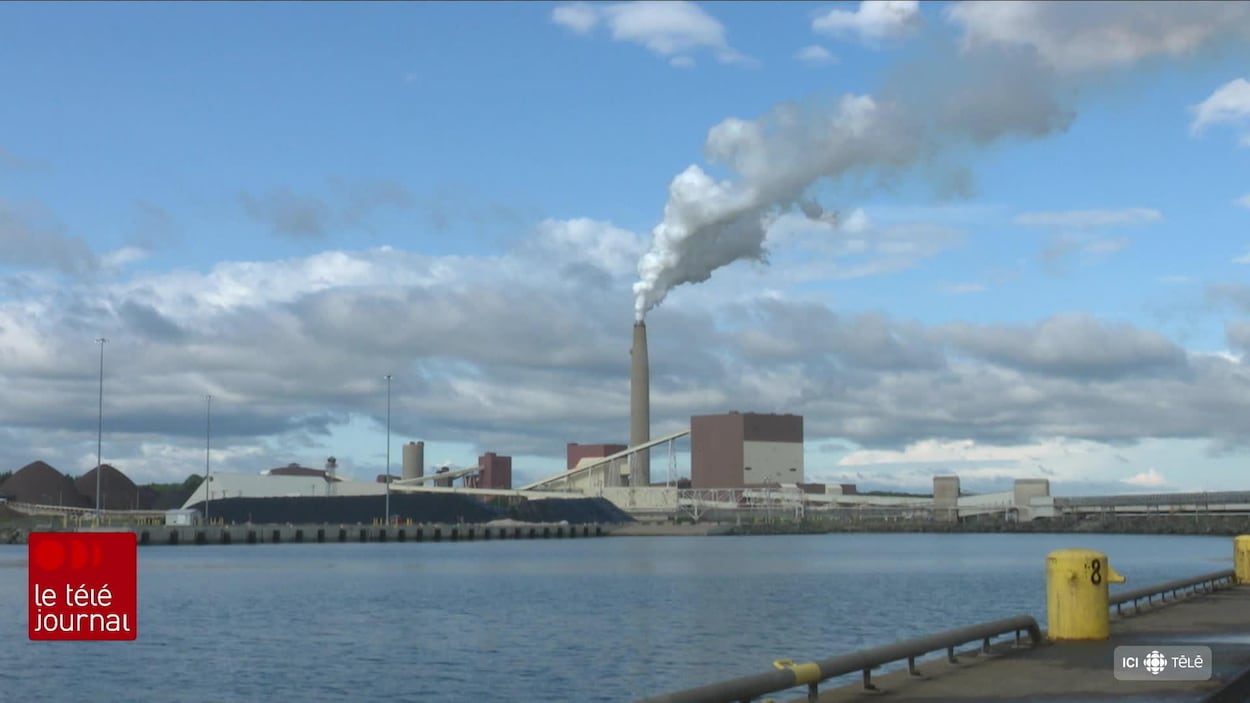 Une usine de granules de bois bientôt construite à Belledune?