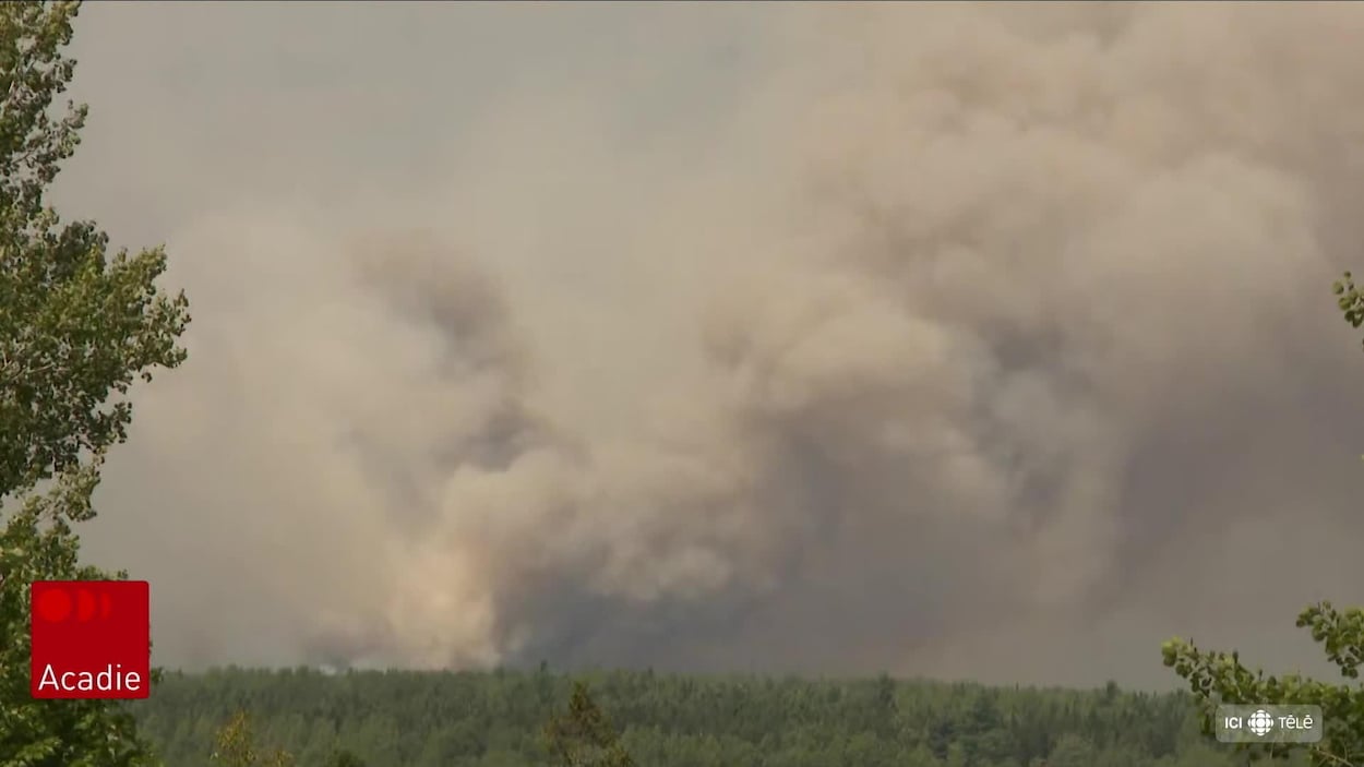 Les pompiers misent sur la prévention et la formation face aux feux de forêt